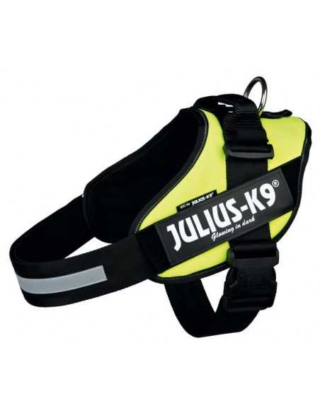 JULIUS-K9 IDC NEON