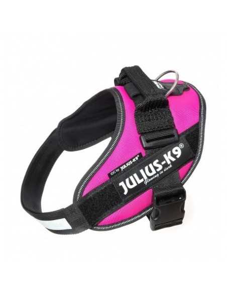 JULIUS-K9 IDC FUCSIA