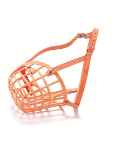 wuapu bozal especial boxer-american staffordshire