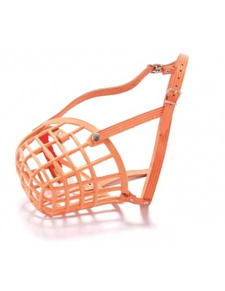 wuapu bozal especial boxer-american staffordshire