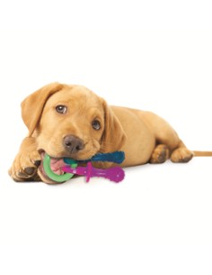 nylabone mordedor chupete 2