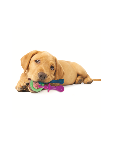 nylabone mordedor chupete