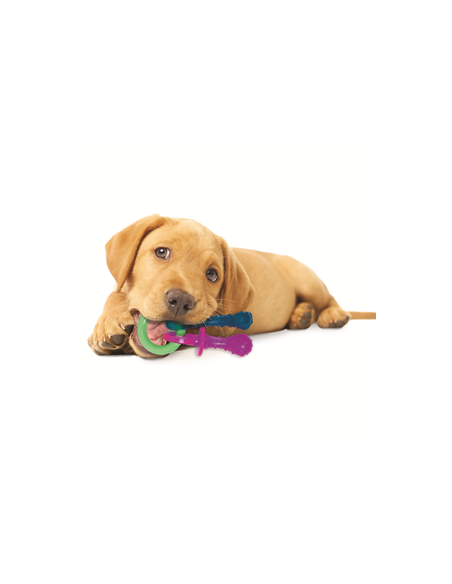 nylabone mordedor chupete