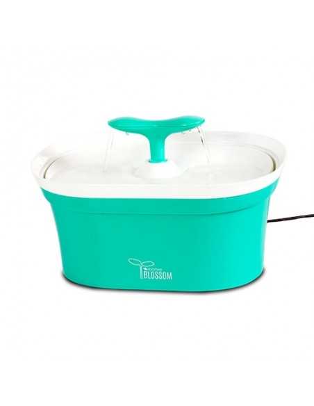 ibañez fuente blossom