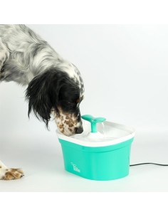 ibañez fuente blossom 2