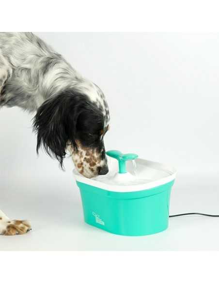 ibañez fuente blossom