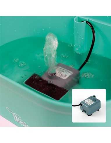 ibañez fuente blossom