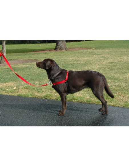 softouch sense-ation harness antitirones