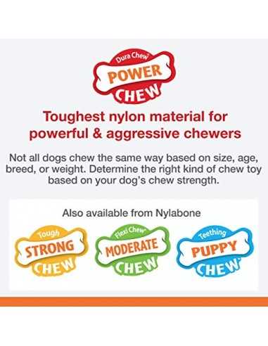 nylabone mordedor cahorro