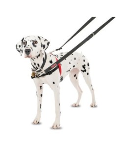 halti arnés control frontal 2