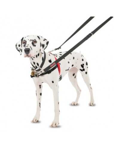 halti arnés control frontal