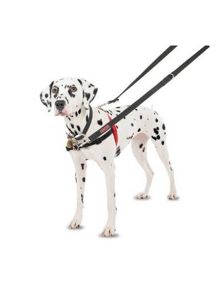 halti arnés control frontal