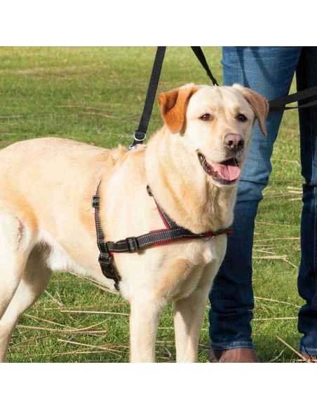 trixie arnés  de adiestramiento