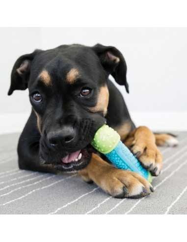 kong corestrength bone