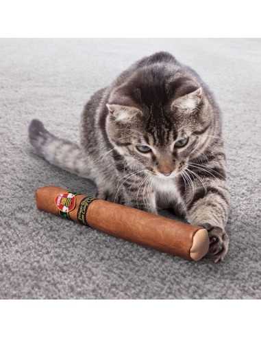 kong better buzz cigar gato