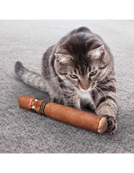 kong better buzz cigar gato