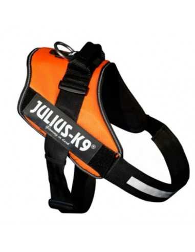 julius-k9 idc naranja neon