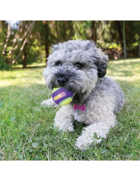 kong crunch air pelotas