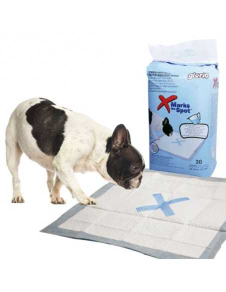 gloria empapadores súper absorbentes 30unds