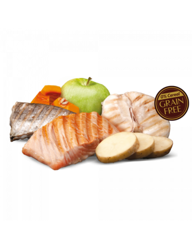 zen healthy fish salmón y pescado blanco