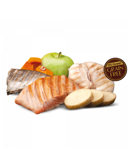 zen healthy fish salmón y pescado blanco