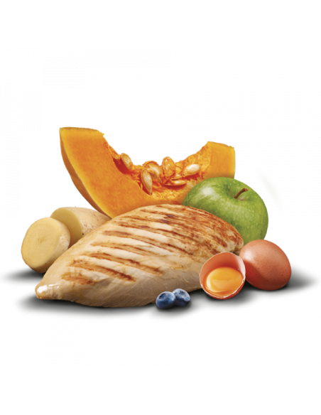 zen strong joints chicken large breed