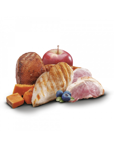 zen pollo, pato y pavo  puppy