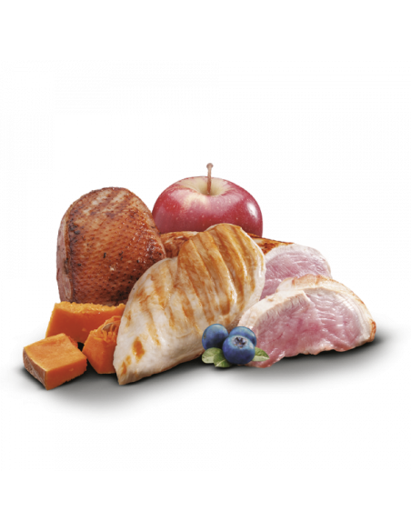 zen pollo, pato y pavo  puppy