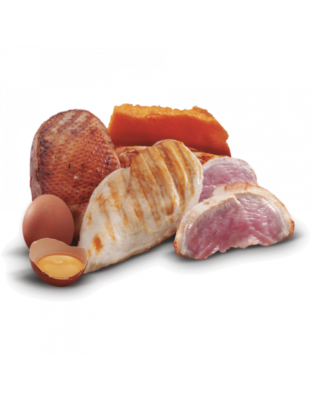 zen pollo, pato y pavo  mini