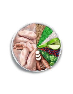 amanova obesity pavo 2