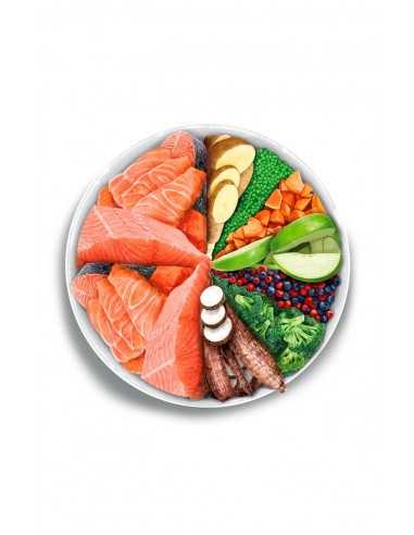 amanova salmon mini sensitive 2kg