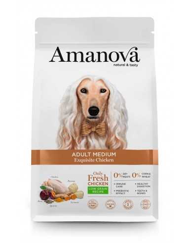 amanova adult medium 12kg
