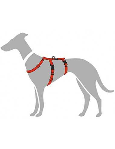 hunter arnés tres puntos seguridad negro