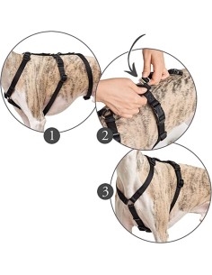 hunter arnés tres puntos seguridad negro 2