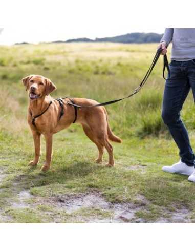 hunter arnés tres puntos seguridad negro