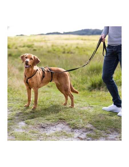 hunter arnés tres puntos seguridad negro