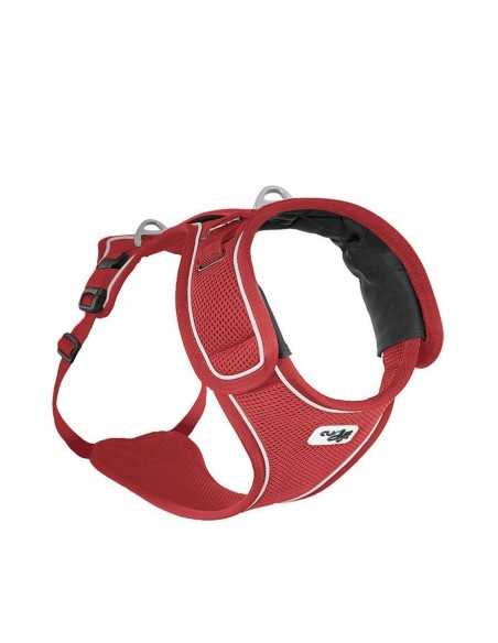 curli arnes belka rojo