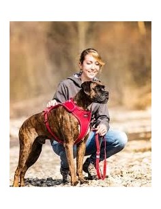 curli arnes belka rojo 2