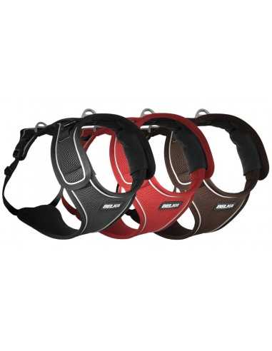 curli arnes belka rojo