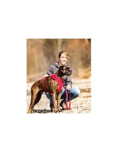 curli arnes belka negro