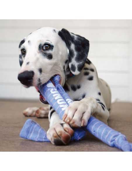 kong crunch signature mordedor puppy