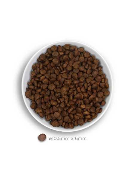 amanova pienso gato pavo grain free