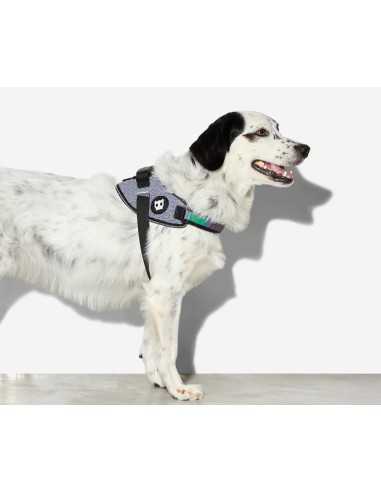 zeedog arnés flyharness
