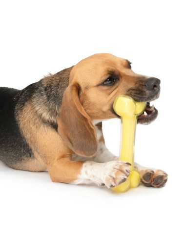 zeus duo hueso amarillo coco 18cm