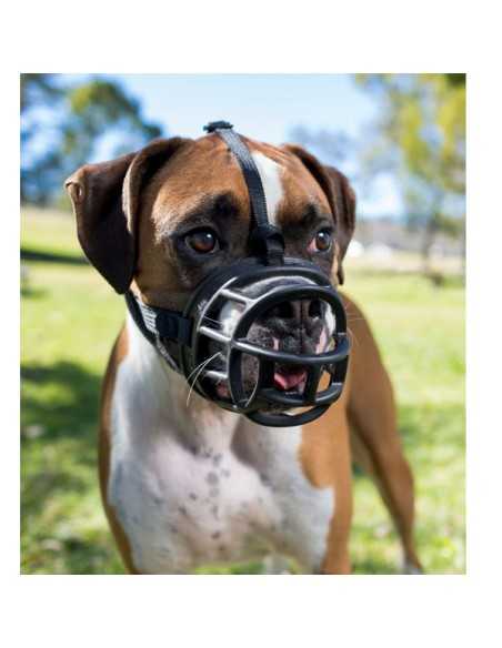 baskerville bozal - talla 1