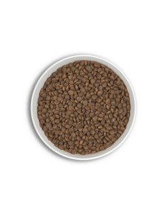 era millennium adult small dog pato&cordero 2Kg y 6Kg 2