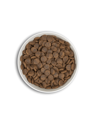 era millennium adult medium dog salmon&arenque...