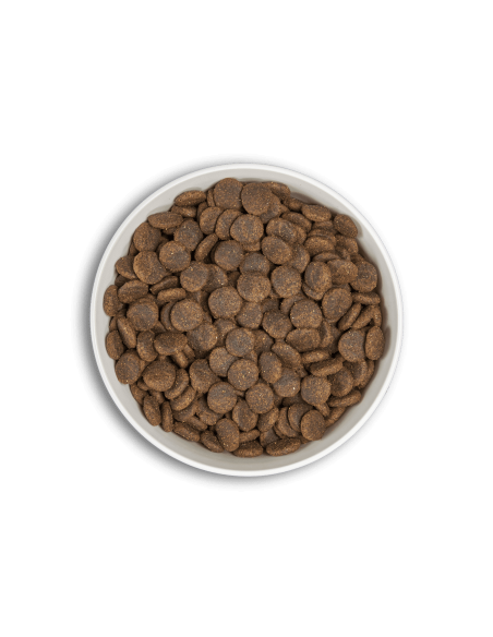 era millennium adult medium dog salmon&arenque 2kg y 12kg