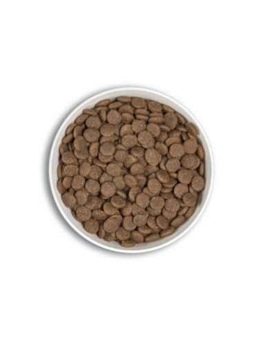 era millennium adult medium dog pato&cordero...