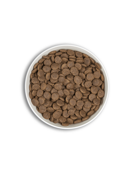 era millennium adult medium dog pato&cordero 2kg y 12kg